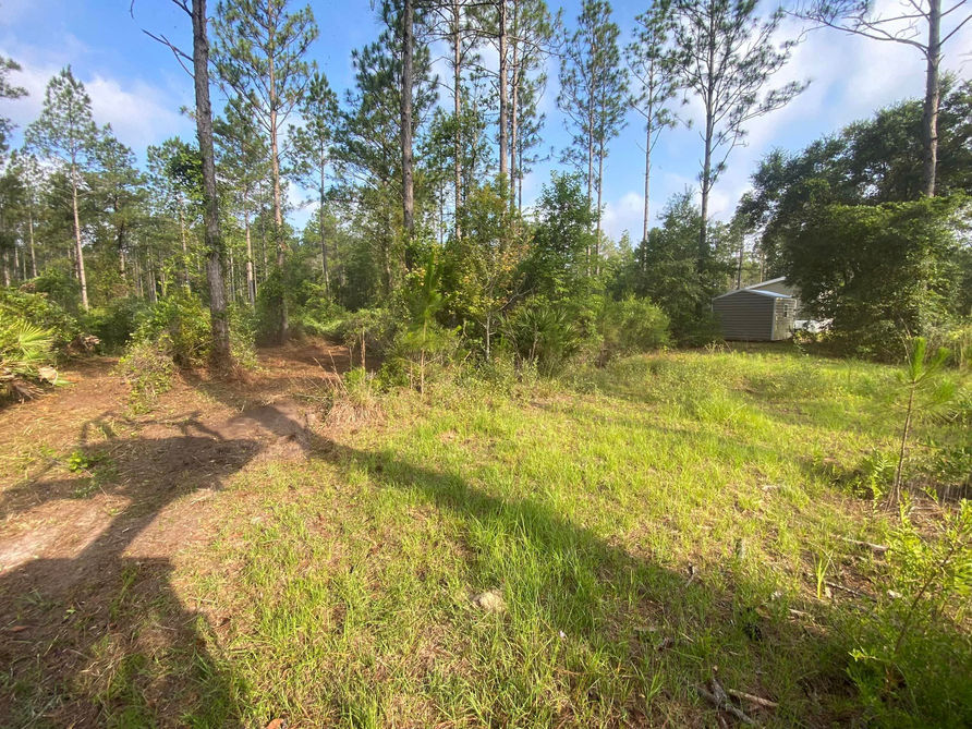 County Line Land Clearing services North Florida for land clearing, stump grinding, site prep, tree removal and more. 