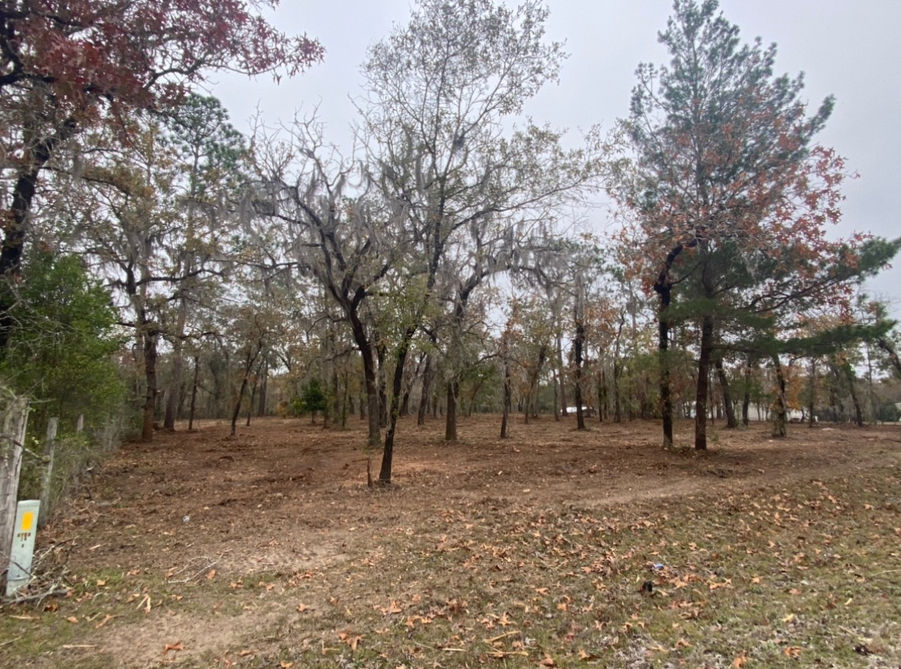 County Line Land Clearing services North Florida for land clearing, stump grinding, site prep, tree removal and more. 