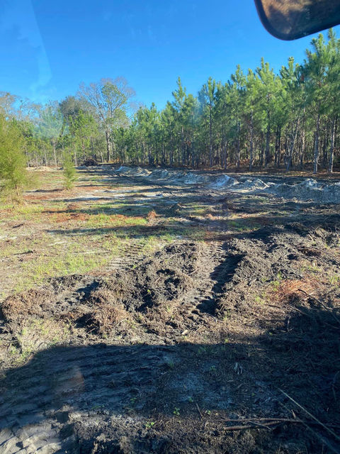 Land clearing, excavating, mulching, tree removal, stump removal services offered by County Line Land Clearing in Perry, FL.