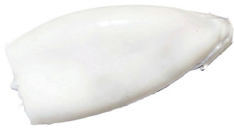 Cuttlefish fillet