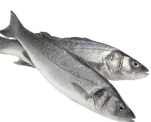 Seabass
