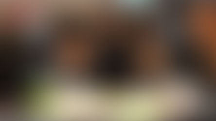 Satmar Rebbe With Mishpacha Journalist Arye Erlich On The “Israeli Military Draft”