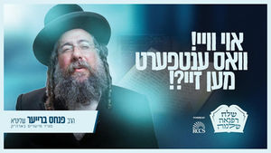 Oh my, what answers they give - Harav Pinchos Brueur - Send a full recovery - Today's short conve...