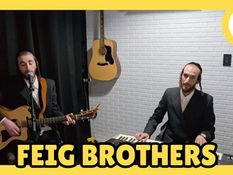 Feig Brothers - The Perlowitz Show