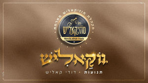 #ווקאליש | מקהלת מוזיקאליש & דודי קאליש - תנועות | Musikalish Choir & Dudi Kalish - Tenuot