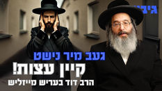 געב מיר נישט קיין עצות! | הרב דוד בעריש מייזליש