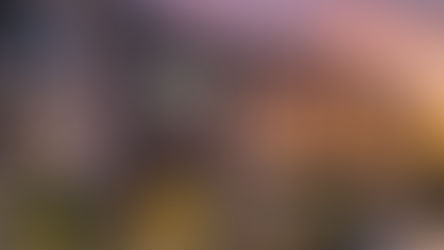 הלוך ילך Shavita HQ