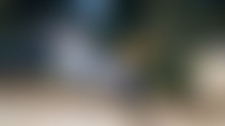 Al Tazveinu - Skulen - Yeshivat Nachalat Yosef | אל תעזבני | סוקלען - ישיבת נחלת יוסף שבי שומרון