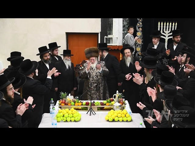 האדמו"ר מספינקא ביים חמשה עשר בשבט טיש