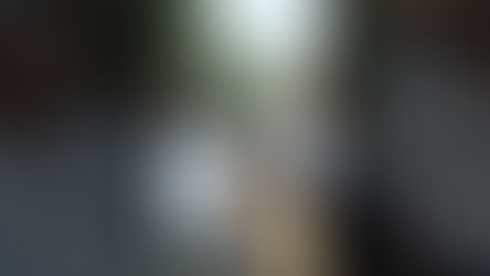 Nature and Wine with Joseph Herzog: Discovering the New Napa Oak Knoll