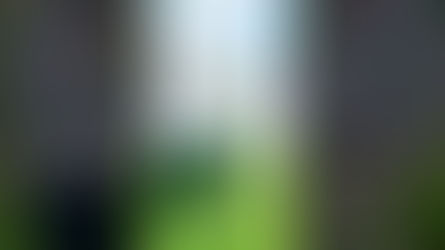 The Beauty of Sicily