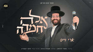 ืืื ืืืื - ืืจื ืืืืก ืืืงืืืช ื ืืื ื Eileh Chamdah - Ari wiess I