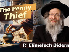 The Penny Thief | Rabbi Elimelech Biderman