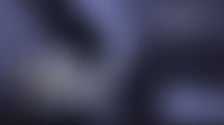 Nissim Saal "Il Mio Tesoro"