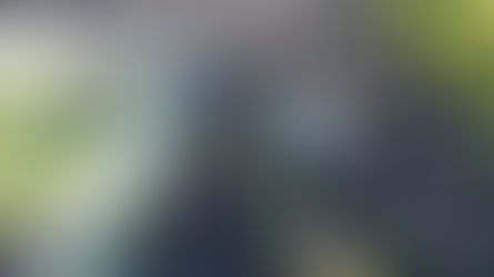 וַיִּבְכּוּ אוֹתוֹ כֹּל בֵּית יִשְׂרָאֵל • מסע הלויה של כ"ק אדמו"ר מהרי"י מסקולען זצ"ל - תיעוד רחפן