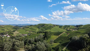 To another sweet year surrounded by vineyards and doing what we love! Drone Footage in Italy