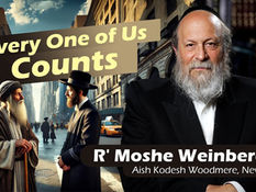 Every One of Us Counts | Rabbi Moshe Weinberger