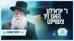 Harav Yisrael Stern - שלח רפואה שלימה – היינטיגע קורצע שמועס - ר' יודא'לע האט זיך צעוויינט