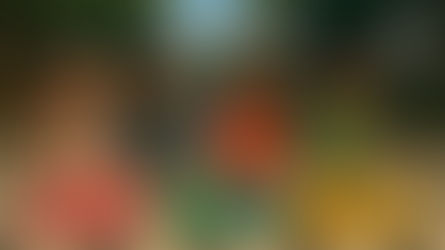 Zum Gali Gali | Shlepping Nachas | TYH Nation