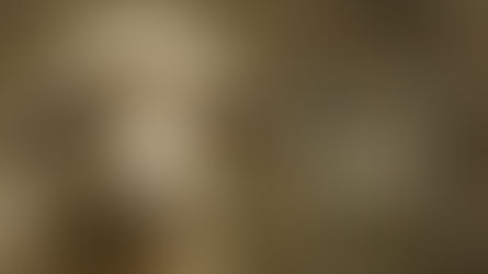 HBS: Sheifale - שעפעלע