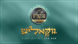 #ווקאליש | מקהלת מוזיקאליש & אייזיק האניג - אנא מלך | Musikalish Choir & Isaac Honig - Ono Melech