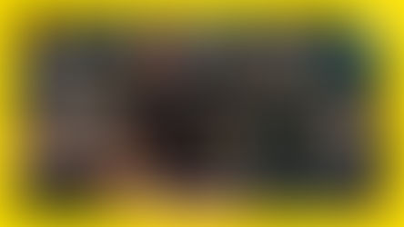 ONP Promos - Huge Sale! - The Perlowitz Show