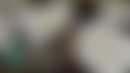 Judaica Revolution - Choshen.co - Shmiel Indig • Public Relations 🎥🔥