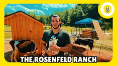 The Rosenfeld Ranch, South Fallsburg - The Perlowitz Show