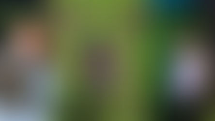 Hoopla - Toms River Opens This Week iy”H (weather permitting) — You Never Saw Such a Big Laser Tag!