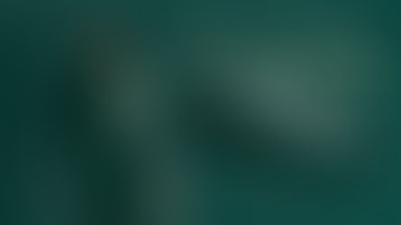 נחמן פילמר | מ'טשעקט אריין אין שבת | סט שירי שבת קצבי חסידי | Check in for shabbos