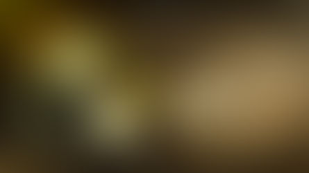 להודות ולהלל - סט שירי חנוכה חסידי - Hasidic Hanukkah set