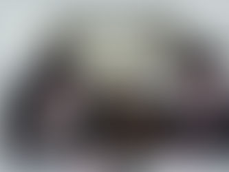 להודות "ולמלל" מיט המגיד מפורסם הרה"ח ר' אברהם מרדכי מלאך שליט"א