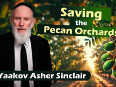 Saving the Pecan Orchards | Rabbi Yaakov Asher Sinclair