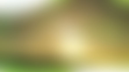 Neshume'le Mein, Yaldei - Yanky Rubin | נשמה'לע מיין