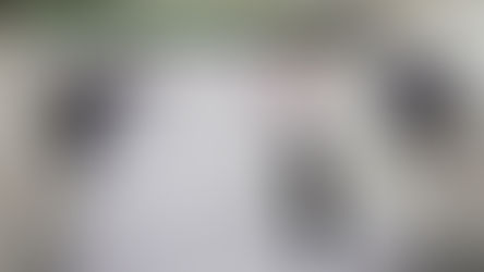 New Business Idea: 'U Snap It' – DIY (Do-It-Yourself) Photography Sessions! For only $60/hour.