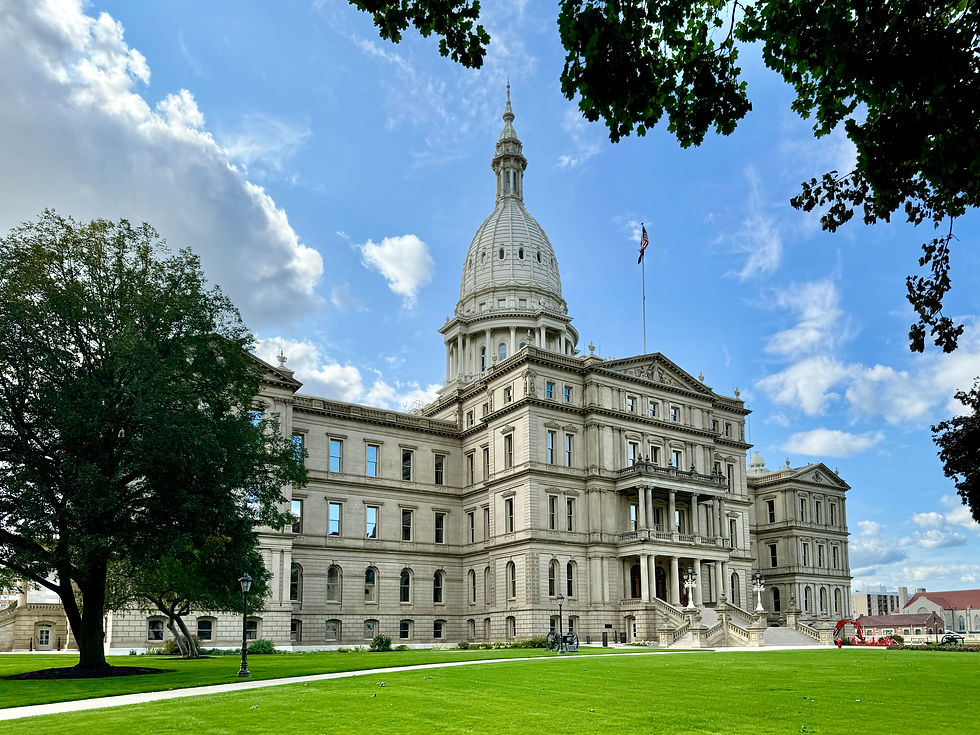 Protect MI Care: March for Medicaid