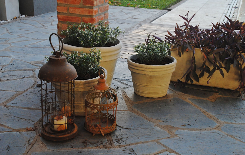 jardin bruno (40)