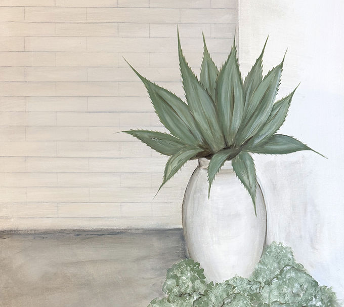 Agave in Pot 24x24_edited.jpg
