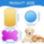 Different colors and sizes for dog tags