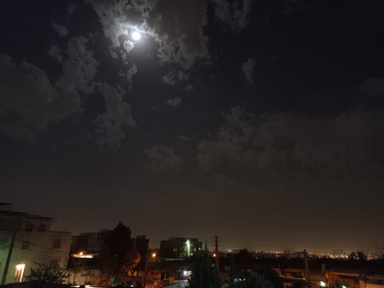 POEMS by Diana Kamyabizadeh