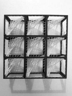 Fibrous Deformation model