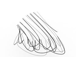 Digital Fibrous Deformation