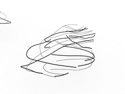 Digital Fibrous Deformation