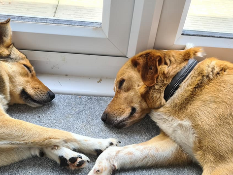 Lucie and Freddie (was Faith)