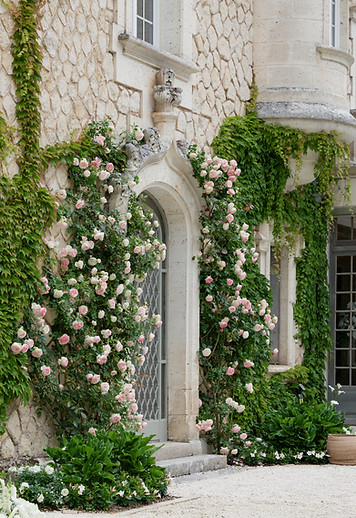 Chateau de la Couronne - Enchanting Wedding by Valerie Sarron39.jpg