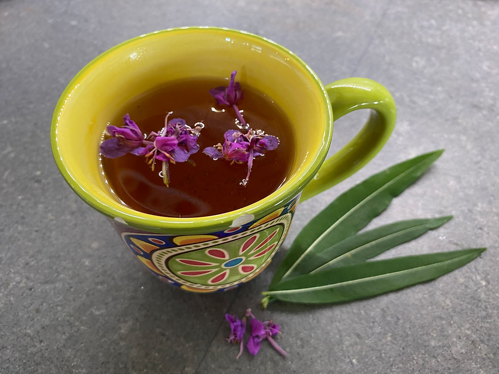 herbal tisane in a mug