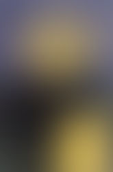 DIE VERGESSENE STADT