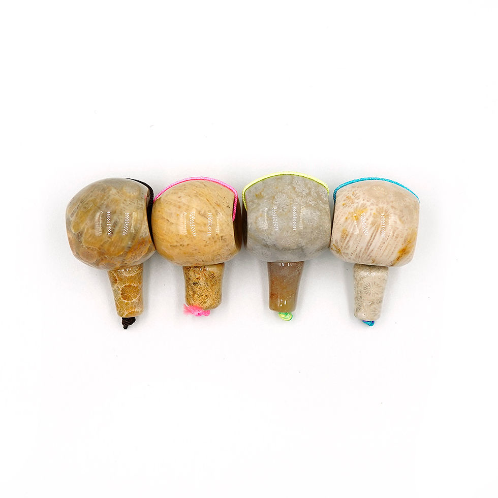 T drilled Fossil coral and gourd 珊瑚玉T洞珠與葫蘆頭