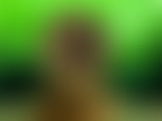 As criptomoedas são um bom investimento financeiro?