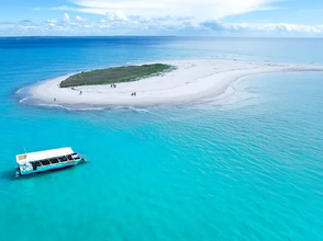 Swimming With Turtles: Turtle Discovery Tour Hervey Bay!